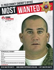 MOST WANTED 2